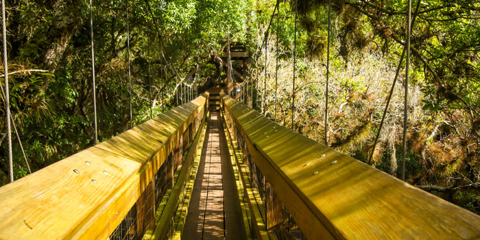 Exploring Sarasota County’s Natural Beauty: Top Parks and Trails for Every Outdoor Enthusiast