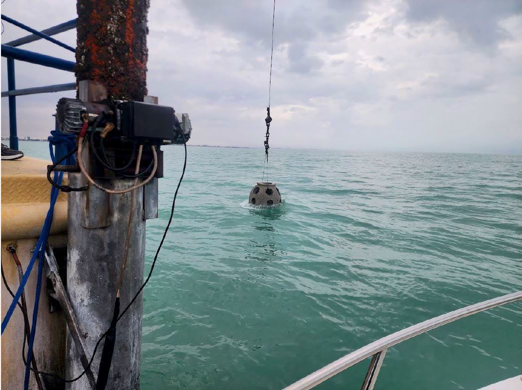 Exploring the heart of marine conservation in Sarasota: the artificial reef program transforms underwater landscapes.