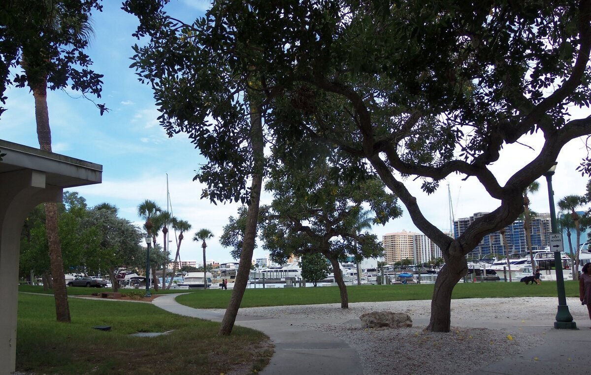 Celebrate Take a Walk Outdoors Day at Sarasota's Bayfront Park Today