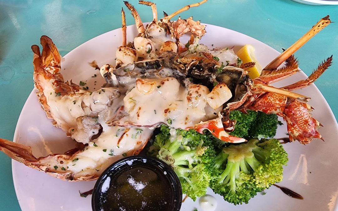From Gulf to Plate: Sarasota’s Walt’s Fish Market Delivers Daily