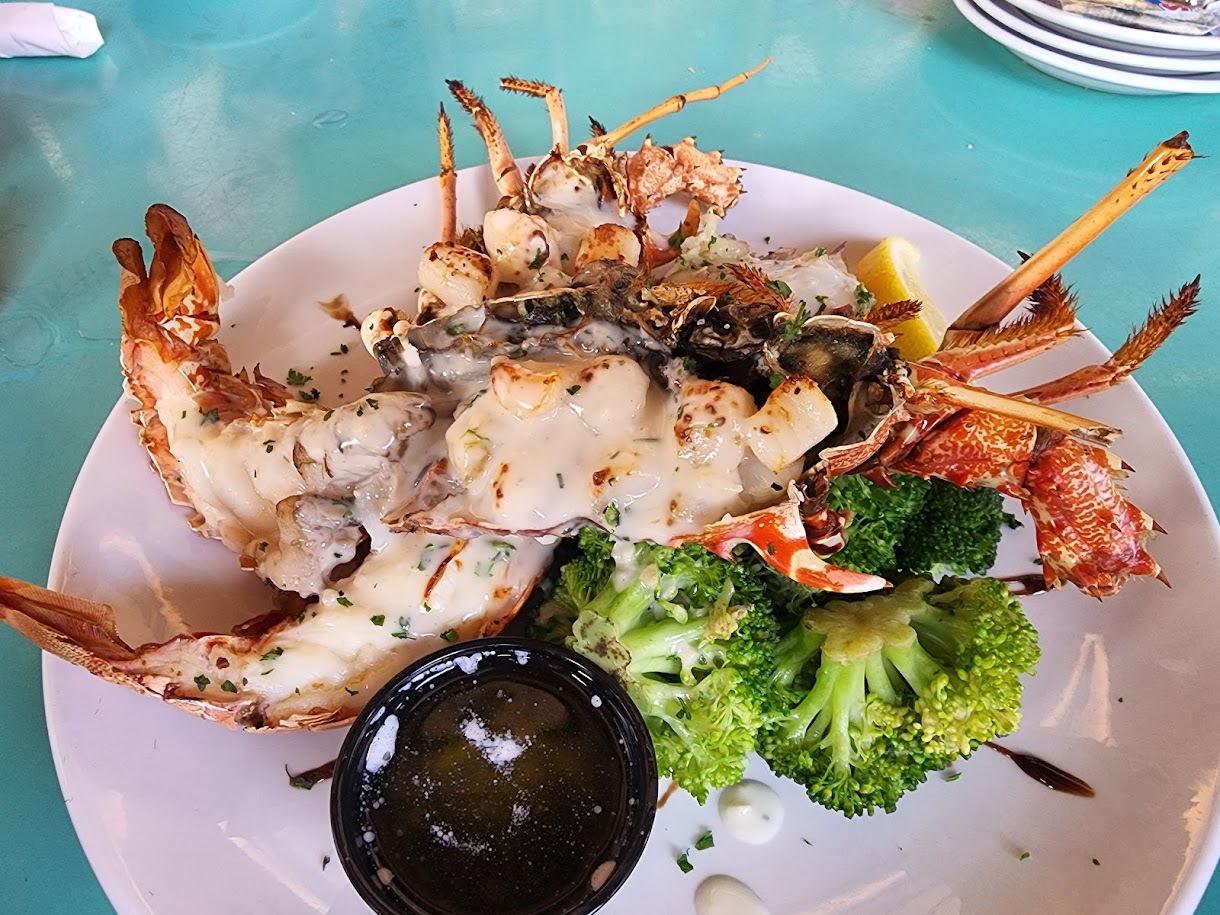 From Gulf to Plate: Sarasota’s Walt’s Fish Market Delivers Daily