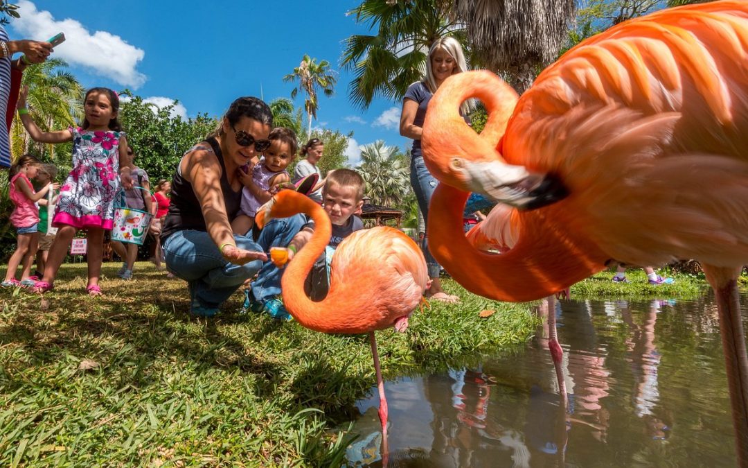 Flamingos, Friends, and Fun: A Day at Sarasota Jungle Gardens